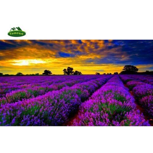 YUMEART DMC 5D DIY Diamond Painting Lavender Purple Flowers" Embroidery Cross Stitch Rhinestone Mosaic Painting Decor