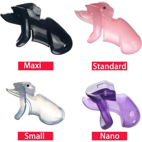Holy Trainer Penis Rings