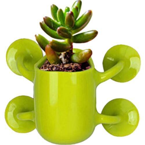 Creative Mini Flower Pots Bonsai Suction Cup Wall Flowerpot Flowers Cactus Culture Container Home garden wall hanging planter