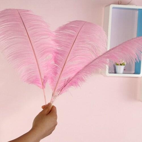 Sales of high-quality 50pcs / Many pink ostrich feathers 45-50cm, DIY wedding decorations / decorative home accessories