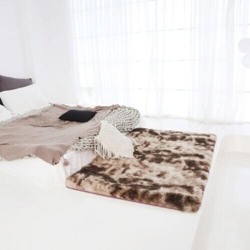 Thick Carpet For Living Room Plush Rug Children Bed Room Fluffy Floor Window Bedside Home Decor Rugs Soft Velvet Mat 2021