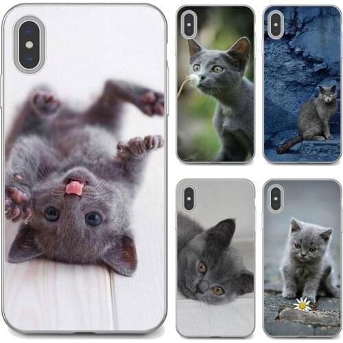 Russian-Blue-Kitten Silicone Phone Shell Cover For Xiaomi Redmi 2 S2 3 3S 4 4A 5 5A 5 6 6A 7A 9 9T 9C 9A Pro Pocophone F1