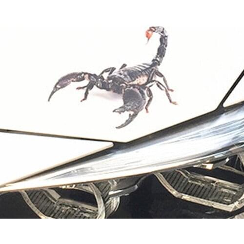 3D Car Sticker Animals Bumper Spider Gecko Scorpions For Chevrolet Cruze TRAX Aveo Lova Sail EPICA Captiva Malibu Volt Camaro