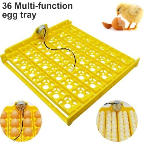 Multifunction Egg Tray Eggs Incubator Turn Tray Poultry Incubation Equipment Mini Brooder Incubator Spare Parts Accessory