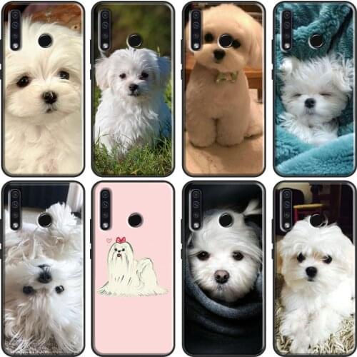 Maltese Dog Puppy Cute For Huawei Honor 10i 7C 7A 6C 4C Pro 8A 9A 6X 7X 8X 9X 7S 8S 9S 8 9 20 10X 10 Lite Case
