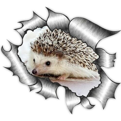 Creative Ripped Metal Design with Cute Hedgehog Car Sticker Accessories Motorcycle Waterproof Car Window Decal PVC 13cm X 13cm