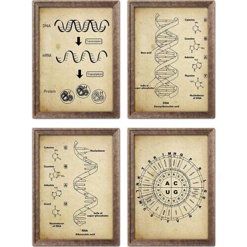 DNA and RNA genetic code wall art prints genetic biochemistry student gift retro science retro poster