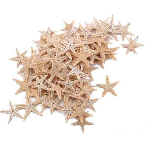 100Pcs Natural Starfish Seashell Beach Craft Natural Sea Stars DIY Beach Wedding Decoration Crafts Home Decor Epoxy 1-3cm