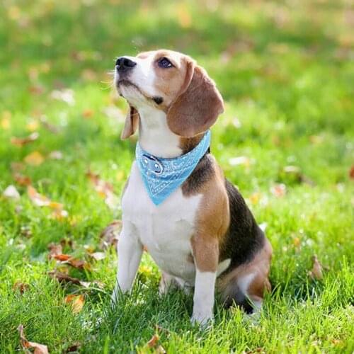 Pet Bandanas Collar Puppy Neckerchief Adjustable Pet Dogs Cats Neck Bandana Collar Paisley Pattern Triangular Bibs Scarf Collar