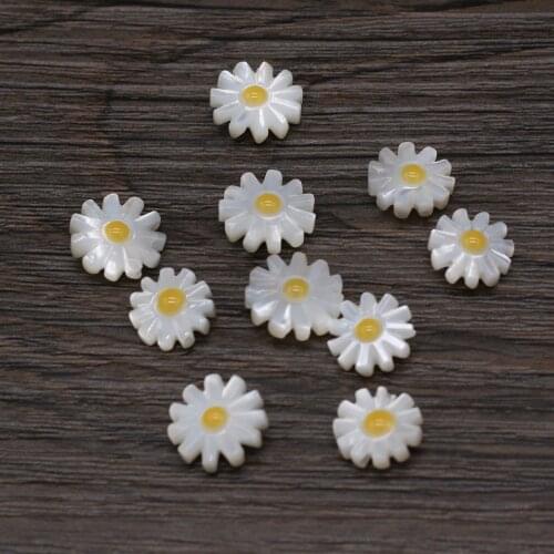Wholesale 5pcs Natural Freshwater Shell Beads Accessories Sun Flower Shell Loose Beads for Jewerly Necklace Accessories Making