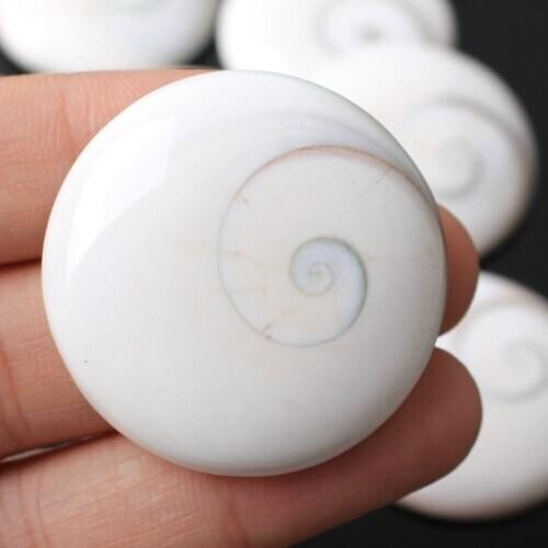 1pc Natural Sun Shell Hole Pendant Palm Polished Healing Necklace Gift From Madagascar