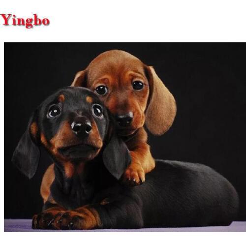 5d Diamond Painting Professor Dachshund DIY 3D Diamond Embroidery animal full square round drill Mosaic diamond picture wall art