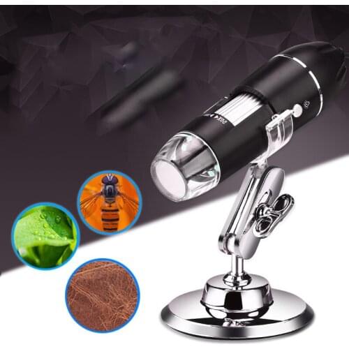 Кроссовки для бега Gootrades China At AliExpress