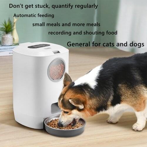 Plug Automatic Pet Feeders With Voice Record Stainless Steel Dog Food Bowl Auto Cat LCD Screen Timer Food Dispenser