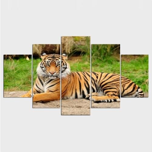 5pcs,diamond embroidery tiger,animals,5d diamond painting full diamond mosaic picture of rhinestones cross-stitch christmas,gift