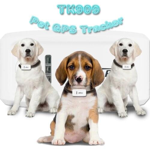 TKSTAR Pet GPS Locator Personal Tracker TK909 For Dog Car SOS Alarm Free Android IOS APP Website Waterproof Tracking Device