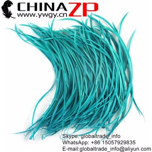 CHINAZP Goose Feathers 20~25cm(8 to 10 inch) Smooth Turquoise Blue Dyed Goose Biots Feathers Clothing Shoes Hat Accessories