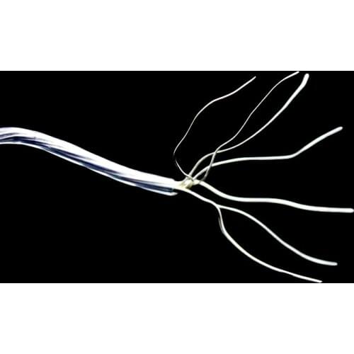 Hifi Audiophile 8AG Silver Plated OCC 16 Strands Audio Bulk Cable for DIY RCA / XLR / Speaker Cable