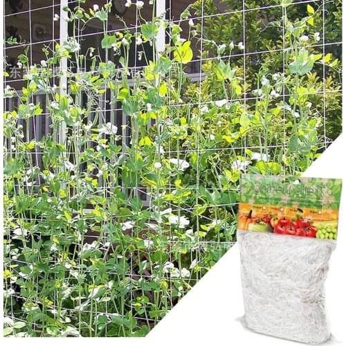 Mesh 5/10m Polyester Net Loofah Netting For Morning Glory Vine Flowers Garden Plants Climbing Net Cucumber Vine Grow Holder