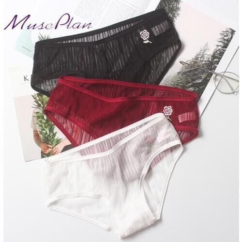 New sale! Ultra-thin ultra clear vented embroidery mesh lace cotton quilt sexy ladies embroidered underwear