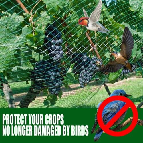 2x5/10m Extra Strong Anti Bird Netting Mesh Green Nylon Reusable Garden Plant Protection Against Birds Deer Fencing