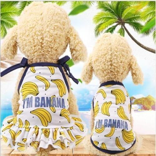 Pet's Spring Skirts For Dogs