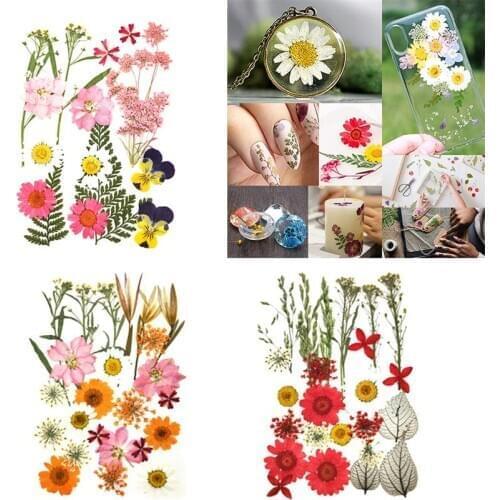 16/24 Dried Flower Decorative Creative Pressed Flower Natural Flower for DIY Floral Face Decors Nail Art Tool for Women Girls