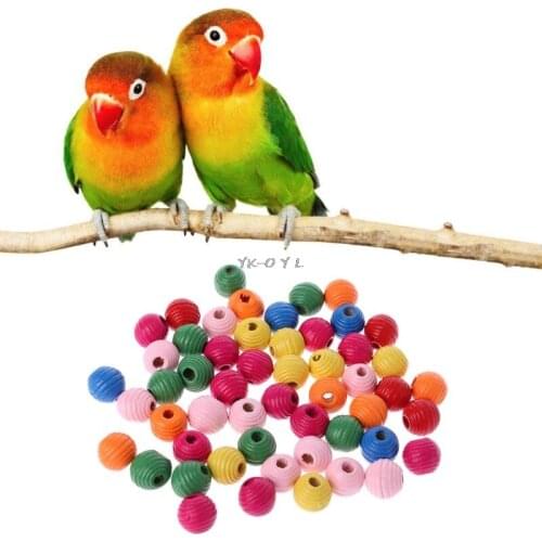 50Pcs/Bag Wooden Bird Parrot Bite Toy Multipurpose Colorful DIY Beads Decoration Accessories