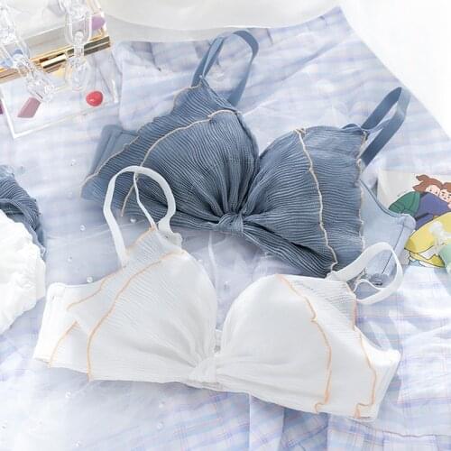 Roseheart New Women Fashion Pink Blue Sexy Lingerie Bras Cotton Panties Push Up Lace Wireless Bra Sets Underwear A B Luxury