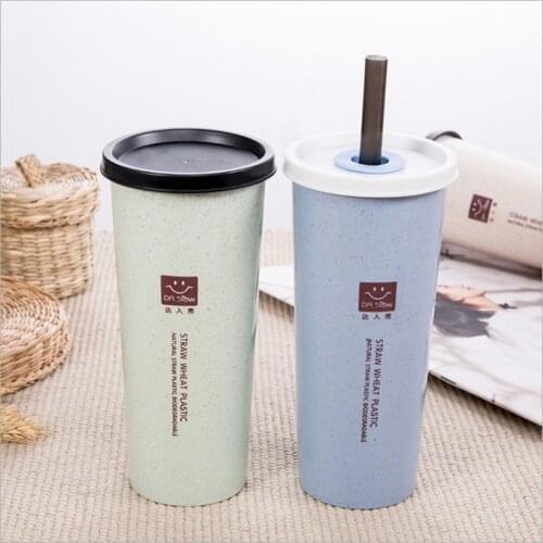 Portable Hand Cup Wheat Straw Water Cup with Straws Double Lid Plastic Travel Cup Drinking Cup 450ML Drinking Bottle Tumbler