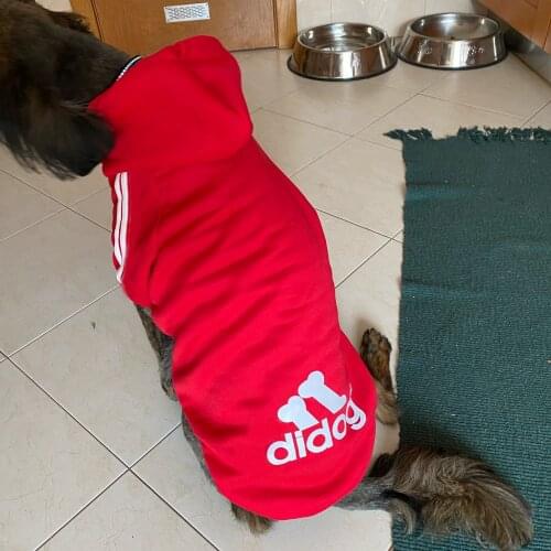 Pet Dog Clothing Coat Jacket Hoodie Sweater Dog Clothes For Dogs Cotton High Quality Sports Style Pet Dog Clothes For Dogs