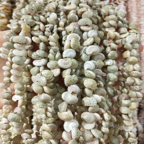 Natural shell Beaded snail shape craft shell beads For jewelry making DIY Bracelet necklace accessories fish tank landscape