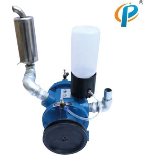 300L Fiber Rotary Blade Vacuum Pump,Milking Machine Spare Parts