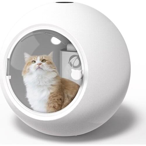 Hot sales automatic UV ozone disinfection cats and dogs Supplies blower pet dryer room