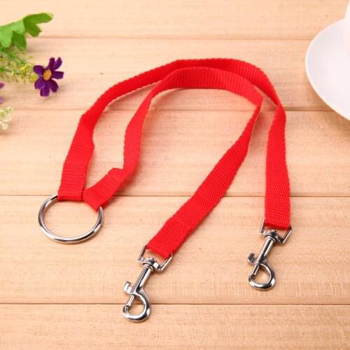 Nylon Dog Training Leash Dogs P Chain Slip Collar Walking Leads Rope for Small Medium Breeds Chihuahua Teddy