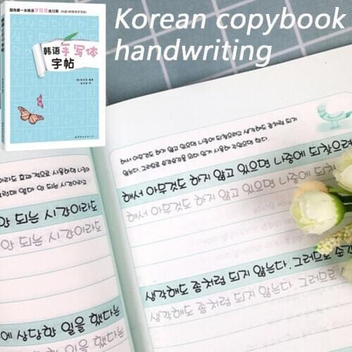 Korean Handwritten Copybooks Workbook Basic Practice Word Stickers Study Books For Kids Libros Livros Kawaii Adult Drawing Art