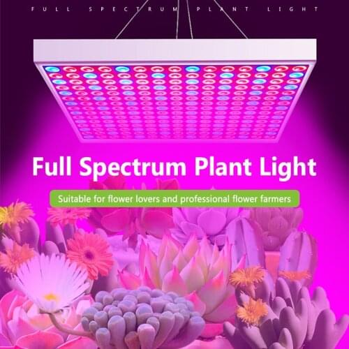 AotaoGO Phytolamps For Plants