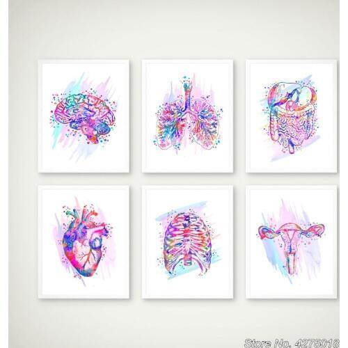 Anatomical Organs Brain Heart Lungs Liver Pelvis Rib Cage Human Anatomy Art Diamond Painting Embroidery DIY Drill Mosaic YG1792