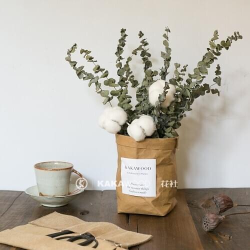 INS Dried Flower Paper Bag Eternal Kapok Eucalyptus Decoration Living Room Decorative Window Display Photography Cotton Set