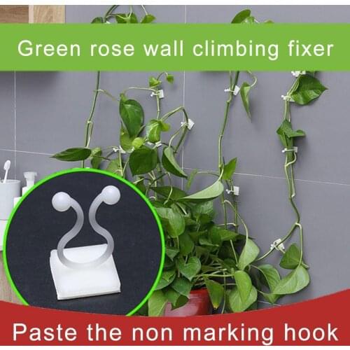 5/10/20pcs Plant Climbing Wall Fixture Clip Invisible Hook Wall Vines Sticky Wall Holder Plant Climbing Fixture Fixture Wal Z5W0