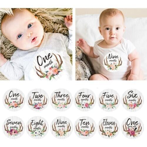 First Year Monthly Milestone Photo Sharing Baby Belly Stickers, 1-12 Months