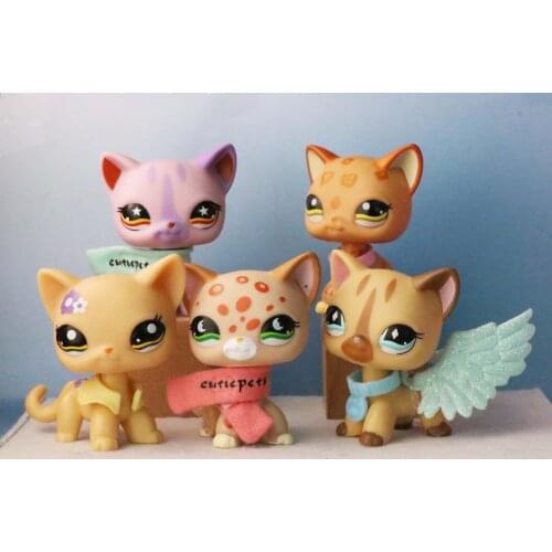 5cps Pet Shop Rare Cat Short Hair Toys #1120 #1962 Orange Kitten Blue Eyes With 6pcs Accessories for Kids Gift