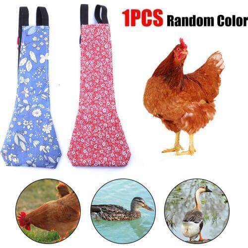 Pet Diaper V Shape Chicken Duck Goose Pigeons Poultry Diaper Nappy Farm Clothing Bow Design With Elastic Band Farm Supplies