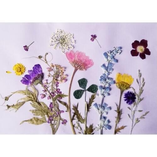 12x Dried Flowers/Pressed Leaves for Resin Jewelry Pendant Bracelet Phone Case Arts & Crafts DIY Bookmarks Art Floral Decor