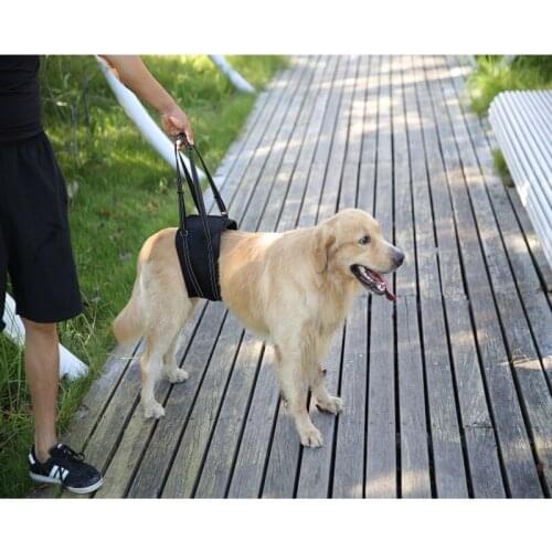 Pop It Dog Collar Dog Paralyzed Rehabilitation Exercise Before And After The Leg Limbs Assisted Harness Dog Leash Accessories