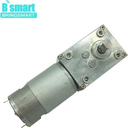 Bringsmart 6v Worm Geared Motor A58SW-555 12V High Torque Motor Reversible DIY Robot Rotated Table Door Lock Self-lock Motor 24v