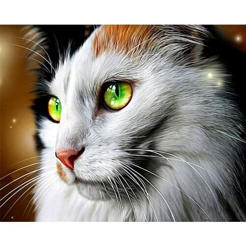 Diamond Embroidery Diy Diamond Painting Cross Stitch Kits Diamond Mosaic Cat Full Square Diamond Embroidery AD242