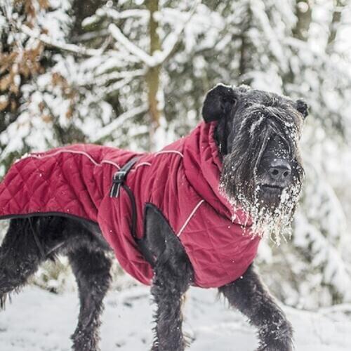 Dog Clothes Pet Clothing Warm Down Cotton-Padded jacket Costume Winter Pet Large Dogs Retriever Coat Jacket Ropa Perro