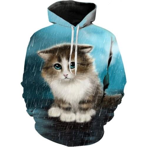 2021 spring and autumn new fashion hoodie 3d printed cute cat casual sweatshirt pullover coat