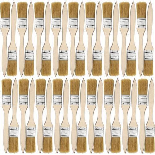 TOP 36 Pack of 1 Inch (24mm) Paint Brushes and Chip Paint Brushes for Paint Stains Varnishes Glues and Gesso